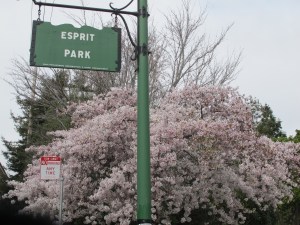 Spring at Esprit - site of Burning Man Decompression