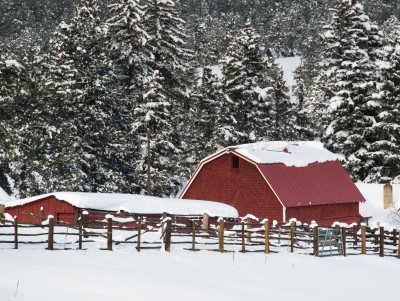 photo: 123RF_Arina Habich